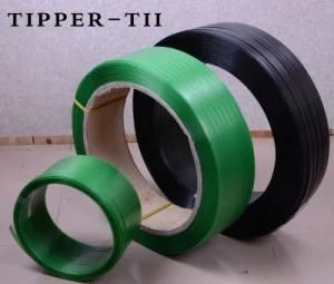 PP Green Strap in High Quality for Packing