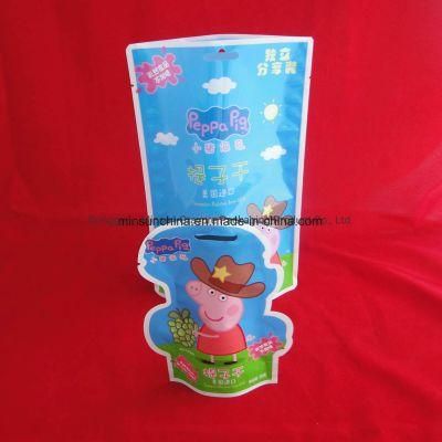 Custom Packaging Printing Ziplock Plastic Bags for Food Packaging