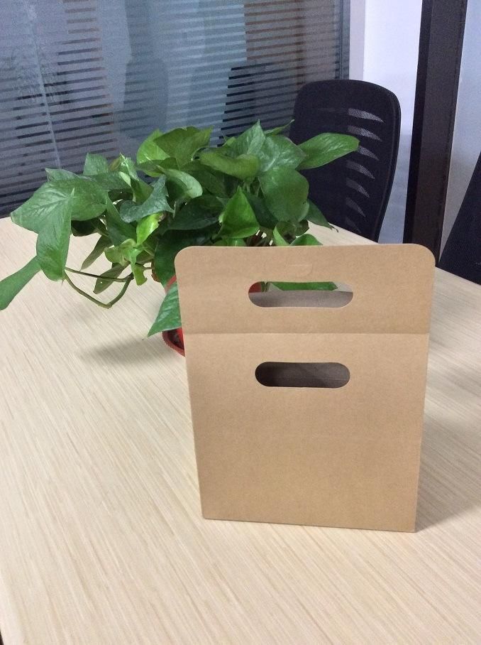 100% Biodegradable Kraft Paper with Custom Logo Printed Paper Bag