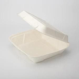 Eco-Friendly Moulded Paper Pulp Tray
