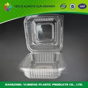BPA Free Biodegradable Clear Packaging Container