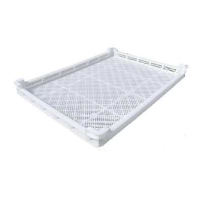 Plastic Baking Tray for Food 600*400*50mm