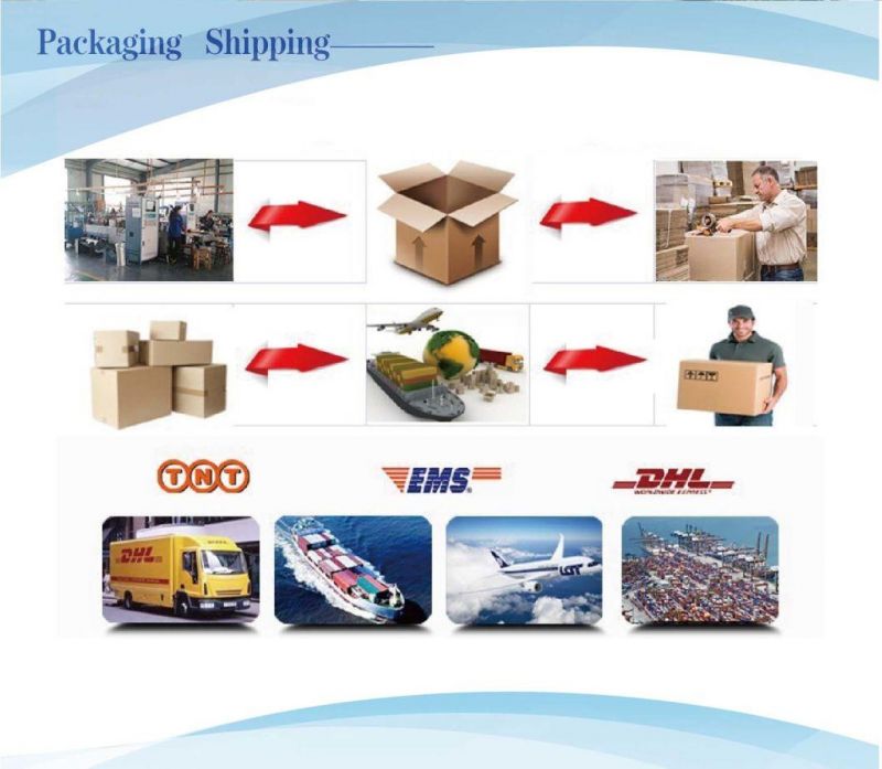 Bio-Degradable Stand up Ziplock Plastic Packaging Bag for Food and Pet Food