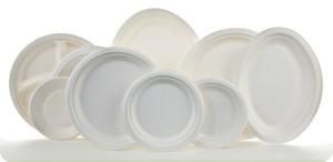 Big Platters with Bleached Bagasse Pulp