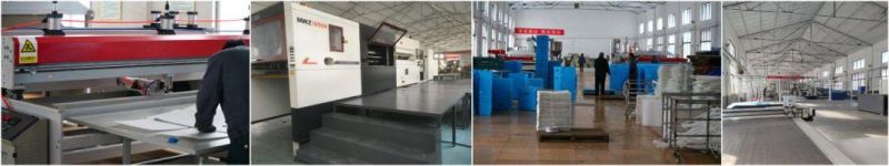 Impact-Resistance Polypropylene Plastic Corrugated Turnover Cold-Chain Box with Plastic Frames