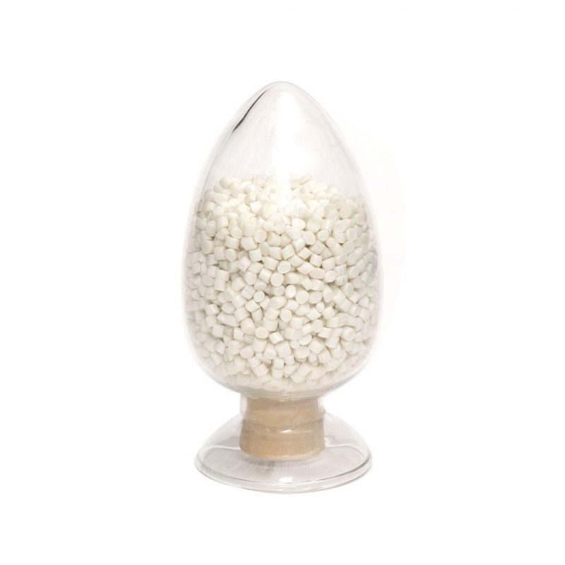 Biodegradable Compostable PLA Plastic Polyamide Raw Materials Resins in Pellets