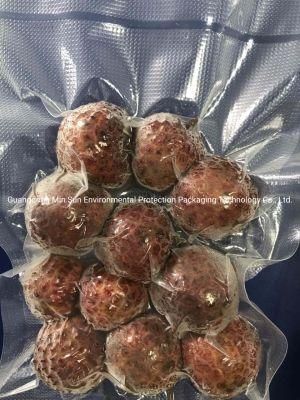Customized Transparent Vacuum Pladtic Packing Nylon Food Bag