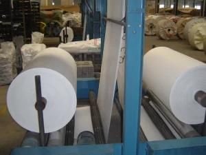 White PP Woven Fabric for Food Bag (BZ-9)