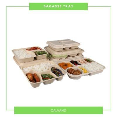 3-Compartment Biodegradable Compostable Freezer Safe Sugarcane Bagasse Takeaway Food Packaging (Meat Tray/Fruit Tray/ Sushi Tray/Taco Tray)