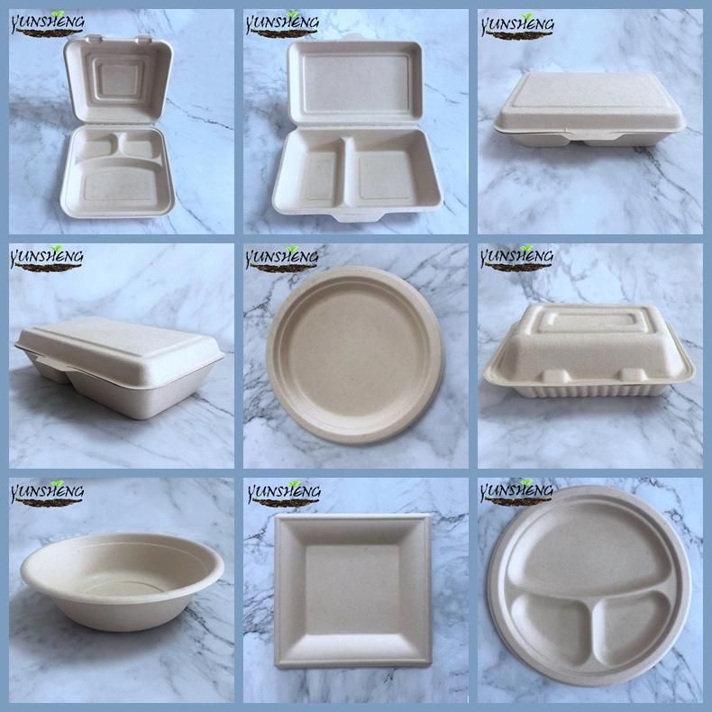 Microwavable Disposable Sugarcane/Wheat Straw/Bamboo Pulp/Firber 100% Compostable Tableware