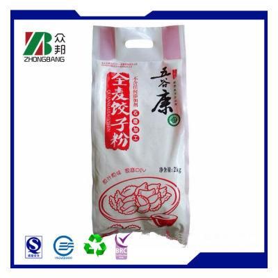 Plastic Food Packaging Bag for Wheat Flour