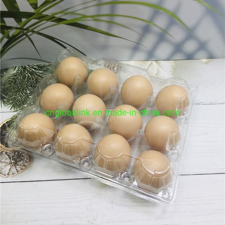Disposable Plastic Egg Tray 3/7 Holes Egg Packaging