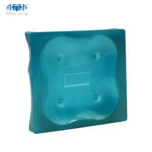 High Quality Customized Blister Tray for Transporting Products