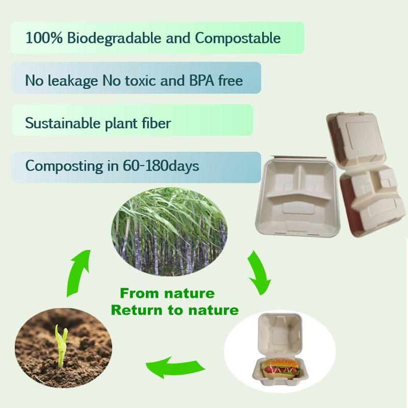 Biodegradable Food Packaging Clamshell Sugarcane Pulp Bagasse 3 Compartment