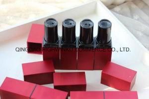 Custom Empty Square Plastic Lipstick Tube