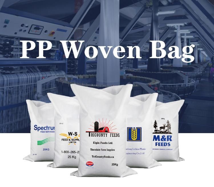 China PP Bag for Grain