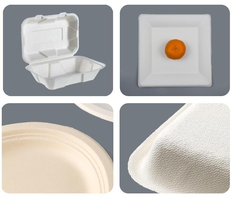 Biodegradable Bagasse Compostable Disposable Eco Friendly Sugarcane Food Packaging