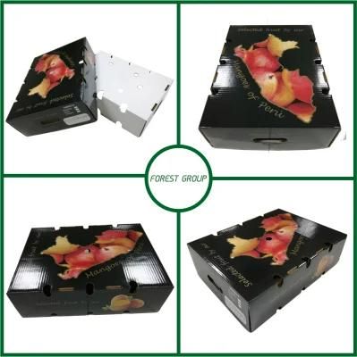 Paper Apple Packing Box with PVC Window