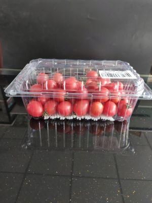 Eco-friendly Health Clear Plastic PET Blister Disposable Food Packaging Container Box for fruit