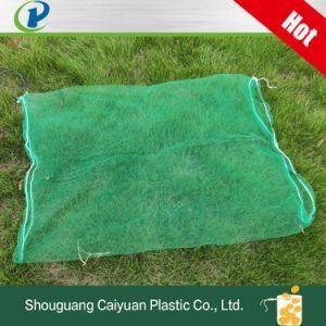 Green Color Reusable HDPE Drawstring Monofilament Mesh Bag Date Palm Mesh Net Bag for Date Protecting Covering