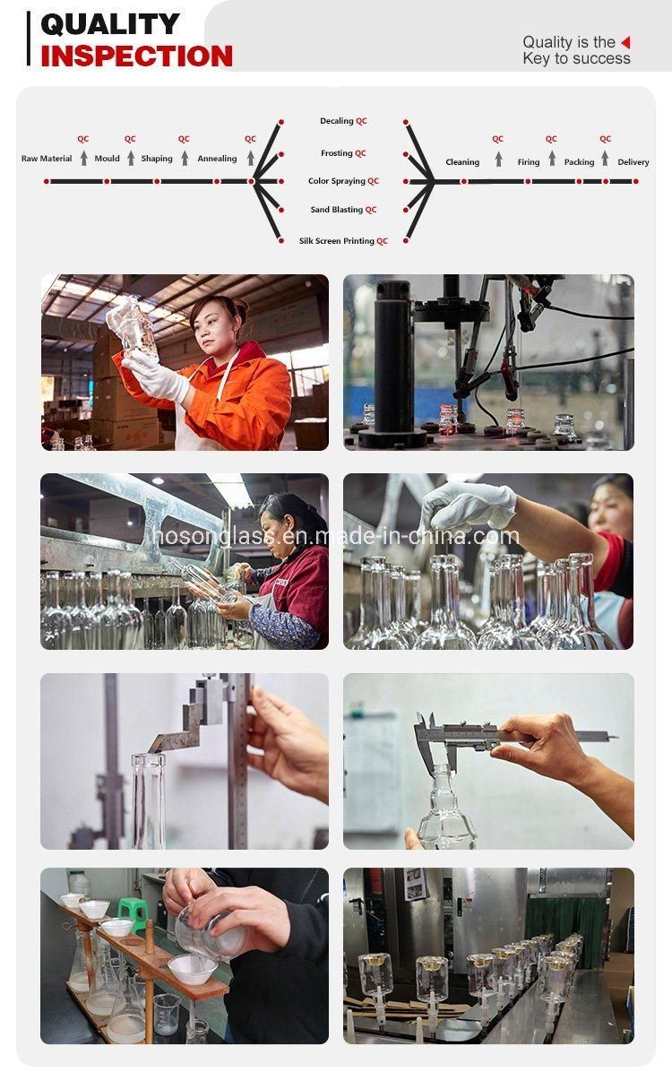 Hoson China Supplier Silk Screen Printing Small Glass Bottles for Whiskey 250ml 25cl Bottle