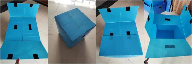 Blue Dust-Free Polypropylene Hollow Sheet Box PP Corrugated Plastic Container