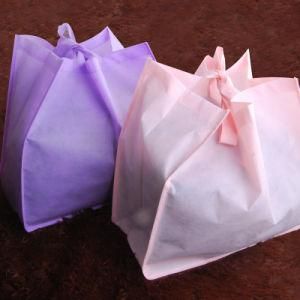 PLA Non-Woven Shopping Bag