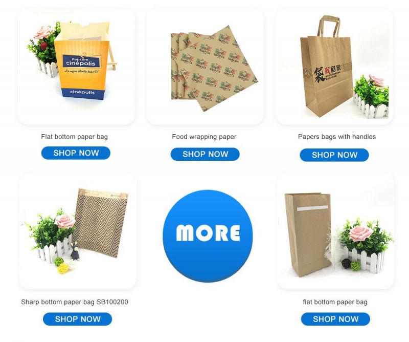 Cheap Packaging Big Kraft Paper Bags Custom Print Bags with Rope Handle