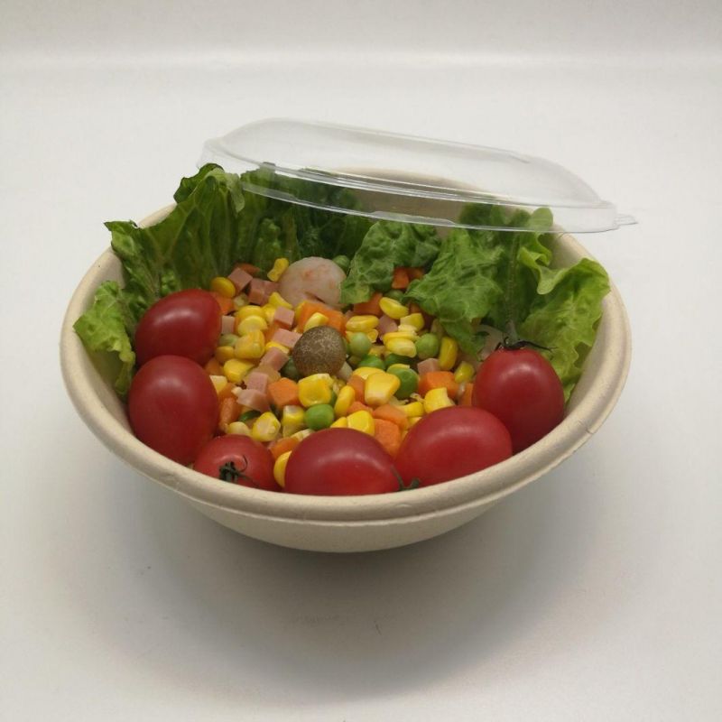 100% Compostable White Color Bagasse Bowl