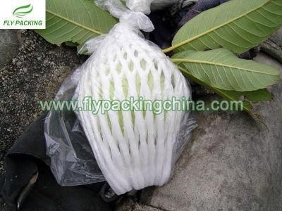 Guava Growing Net, Guava Packing Net, Guava Protector, Foam Packaging Material