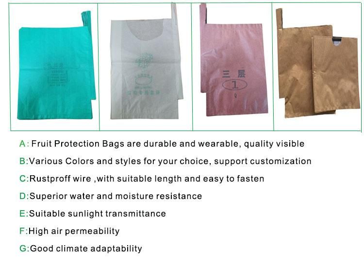 China Manufacturer Fruit Pomegranate Protection Bag/ Grape Paper Protection Bag/Mango Fruit Protection Bag