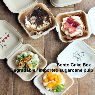 Biodegradable Paper Box Disposable Clamshell Box for Food Package