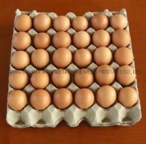 Used Egg Cartons 3X4 Egg Setter Tray in Kenya, Zimbabwe for Sale