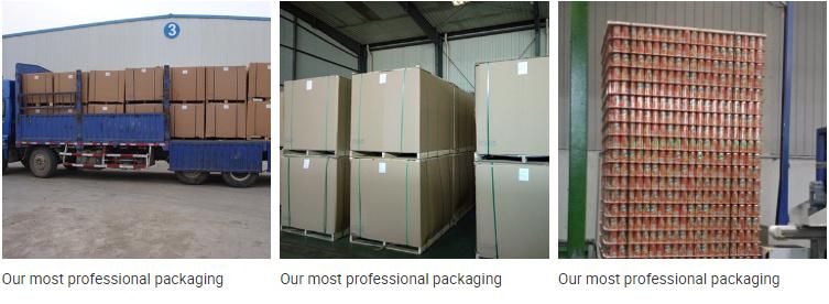 Soda Can Printing Aluminum Material for Exporting