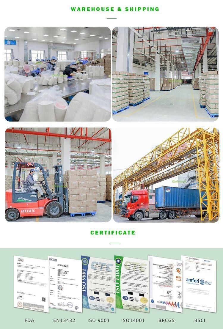 Customized Disposable Sugarcane Bagasse Pulp Molded Cosmetic Lining