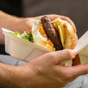 Biodegradable Take Away Food Box, Hamburger, Bread, Sandwich 8inch Lunch Foodbox