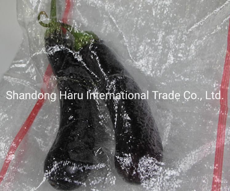 BOPP Plastic PP Woven Sacks Packing Bags with Handle