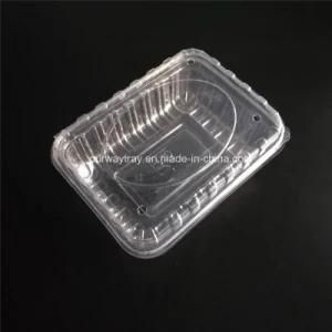 Salable Square Recyclable Plastic Food Container/Food Clamshell