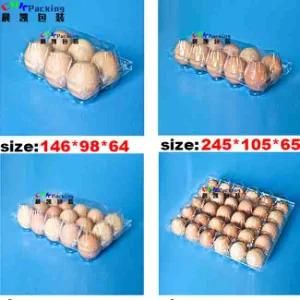 Biodegradable PLA Food Grade Customized Fruit Egg Meat Plastic Tray