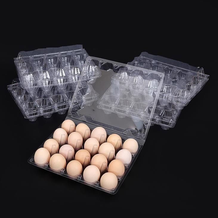 Wholesale 12 Holes Plastic Clamshell Blister Egg Tray Packaging