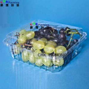 PLA Pet Material Customized Fruit Plastic Punnets