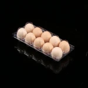 Pet Transparent Egg Packaging with 10 Holes Egg Packaging Clamshell