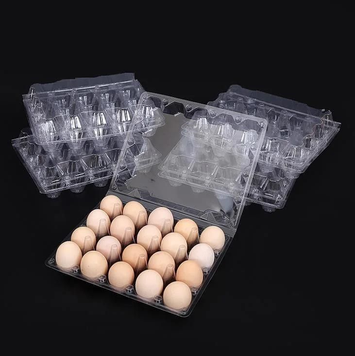 Cheap Clear Transparent Rectangular Plastic Blister Egg Tray