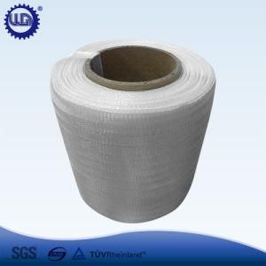 Hot Sale Polyester Woven Bailing Stap