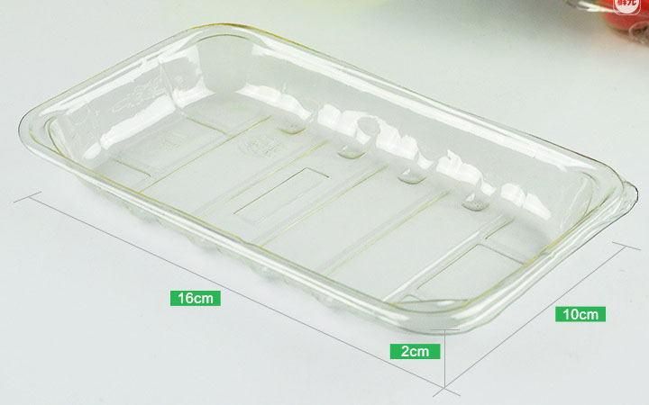 2020 new arrival high transparent rectangular fruit sushi vegetable supermarket blister packaging container disposable tray