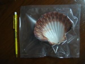 Plastic Transparent Packaging Pouch Bag, Seafood Packaging