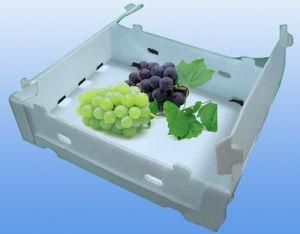 PP Coroplast Shipping Box with Lid for Fresh Food Made in China