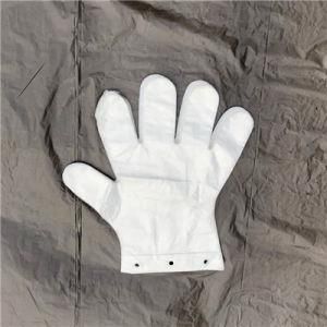 Good Quality Disposable HDPE PE Plastic Gloves Food Grade Wholesale