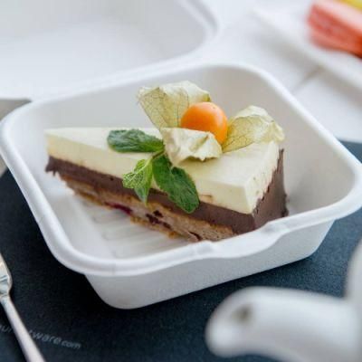 Eco-Friendly Paper Box Disposable Packaging Box with Clamshell for Cake Sandwich Burger Lunch