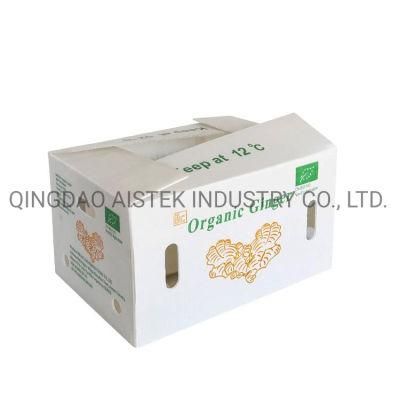 Coroplast Corrugated Plastic Ginger Asparagus Okra Box for Packing
